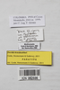 CollectionObject 1573628; 26114acf-84eb-4222-82f5-7c2b9a43c7be: female, data labels (paratype). (CollectionObject).
