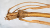 CollectionObject 1560427; bd11896f-e498-42f1-b959-c44f7049a332: copyright NMW, Vienna. male: head & thorax, ventral view (syntype). (CollectionObject).;CollectionObject 1560428; e38535f2-096d-42a7-90c9-05a46b40f72a: copyright NMW, Vienna. male: head & thorax, ventral view (syntype). (CollectionObject).