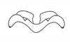 Digamacris amoena (Stål, 1878): Fig. 25. epiphallus, frontal view. (Otu).