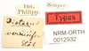CollectionObject 1529885; d1d9ad57-c9e7-40a2-afa7-dd150744a8fb: male, labels (holotype). (CollectionObject).