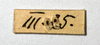 CollectionObject 1561208; da22c0d4-b4ee-4e89-b780-674bde3aa142, NMW 299: © NHMW, NOaS Image Collection; with permission. female, back of data label (syntype). (CollectionObject).