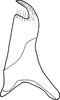 Stylus: !! display not done !! on Maiestas xanthocephalus (Dash & Viraktamath, 1998): Stylus. (Observation).