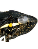 Head on Cuerna sayi Nielson, 1965: Head and thorax in lateral view. U.S.A., Montana, Twin Bridges, INHS. (Observation).