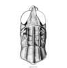 Akamasacris variabilis (Scudder, 1897): male head and pronotum, dorsal view. (Otu).
