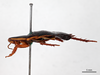 CollectionObject 1863288; 98dcf600-8eb9-4b76-a6c6-902bbfb2bfc9: (CollectionObject).