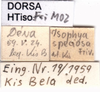 CollectionObject 1507217; 073142d4-a1c5-45e9-8974-03a5a11d8b76: labels. (CollectionObject).