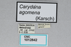 CollectionObject 2833361; 079f7fbc-4940-4c2a-aa63-5d8cf679828d, CNCI 1012842: (CollectionObject).
