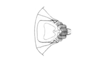 Comansacris hirsutus Ronderos & Cigliano, 1989: Fig. 21. phallic complex, dorsal view. (Otu).