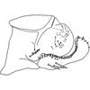 Pygofer, lateral view on Anufrievia triprocessa Yang & Zhang, 2018: Pygofer, lateral view. (Observation).