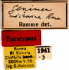 CollectionObject 1576334; 531495cf-f083-44bc-92e1-c17e051876a5: labels (paratype). (CollectionObject).