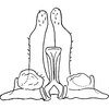 Subgenital plate: !! display not done !! on Iassus lanio (Linnaeus, 1761): Subgenital plate. (Observation).