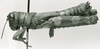 CollectionObject 1523828; e4e0a5aa-a5dd-41a4-a5ab-f29df6829051: male, lateral view (holotype). (CollectionObject).
