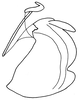 Euschmidtia burtti Descamps, 1964: Fig. 450. phallic complex, lateral view. (Otu).