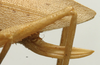 CollectionObject 1535035; 58a6da7f-880e-49a7-873f-36a8f0ccbd8f: female ovipositor (holotype). (CollectionObject).