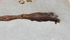 CollectionObject 1561486; 84de75f7-3ddd-4fad-bc3b-5110126516be: copyright USNM, Washington. (CollectionObject).;CollectionObject 1561487; 8a7175af-94a1-4785-9985-6015bda31578: copyright USNM, Washington. (CollectionObject).