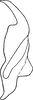 Stylus: !! display not done !! on Sonronius dahlbomi (Zetterstedt, 1837): Stylus. (Observation).