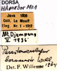 CollectionObject 1507178; 95d4c054-506d-42b2-a60e-e19107c1174e: labels. (CollectionObject).