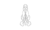 Hylopedetes mirandus Rehn, 1929: Fig. 8L. endophallus, dorsal view. (Otu).