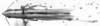 CollectionObject 1543622; f9df8bb7-68bb-4da0-9198-e03b6af64586: Image Carbonell, C.S. female, dorsal view (syntype or lectotype). (CollectionObject).