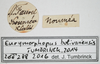 CollectionObject 1577218; 676f0aa4-7f8e-40c3-a92d-0f5366601bb8: labels. (CollectionObject).