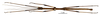CollectionObject 1595954; f2a27abc-bd71-4be8-9faa-76b8bdefc238: copyright MNHN, Paris. male (paratype). (CollectionObject).