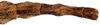 CollectionObject 1578588; RBINS IG: 32700', d2e0fcab-5835-482f-b7d7-388df3aec59c: copyright ISNB, Brussels. female: end of abdomen, dorsal view (paratype). (CollectionObject).