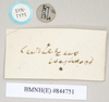 CollectionObject 1562007; bf9e0dbf-20a9-4e8b-ac10-07475d47ac89: copyright Natural History Museum, London. female, data labels [round label reversed] of Necroscia carterus (syntype). (CollectionObject).