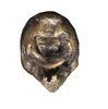 CollectionObject 1533183; 7be62e41-b2e9-450f-813a-e060cec74df2: male terminalia, posterior view (holotype). (CollectionObject).