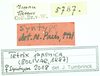 CollectionObject 1586196; 135ce65f-5c22-4864-a8ec-f441d277dd41: labels (syntype). (CollectionObject).