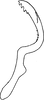 Stylus: !! display not done !! on Stroggylocephalus livens (Zetterstedt, 1837): Stylus. (Observation).