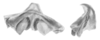 Ceuthophilus (Ceuthophilus) secretus Scudder, 1894: Fig. 48. epiphallus. (Otu).