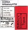 CollectionObject 1521417; 9f4a90db-55c1-423b-8976-a424de8471ac: labels (holotype). (CollectionObject).