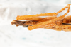 CollectionObject 1585447; 900dfe2b-4398-4e35-9616-7b9b0eb0b9b0: male, ventral view (syntype). (CollectionObject).