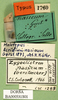 CollectionObject 1501604; ce8bdf40-22a4-46dd-9381-8f09b4fe5619: labels (syntype). (CollectionObject).