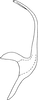 Aedeagus, lateral view on Eupteryx (Eupteryx) multifaciata Sawai Singh, 1969: Aedeagus, lateral view. (Observation).