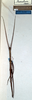 CollectionObject 1561720; b3ebca60-e7f8-4bdd-bca1-58172a326292: copyright NMW, Vienna. female of synonym Cuniculina malaccensis (holotype). (CollectionObject).