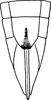 Ovipositor: !! display not done !! on Scaphoideus (Scaphoideus) festivus Matsumura, 1902: Ovipositor. (Observation).