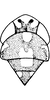 Head: Head, female. (Observation).