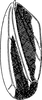 Forewing: !! display not done !! on Evacanthus (Evacanthus) interruptus (Linnaeus, 1758): Forewing. (Observation).