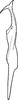 Stylus on Anufrievia wolongensis Yang & Zhang, 2018: Stylus. (Observation).