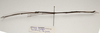 CollectionObject 1595829; 38b250cd-d093-47d4-88bf-1061c3113122: copyright LKCNH Singapore. male, lateral view (paratype). (CollectionObject).