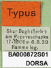 CollectionObject 1501308; 55098bdc-770b-4714-92b2-4bb5f70d5296, DORSA BA000872S01: labels (holotype). (CollectionObject).