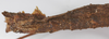 CollectionObject 1562995; 197b2569-88bf-455e-8083-ea39a065f5f1: copyright ZSMC. female: end of abdomen, ventral view (holotype). (CollectionObject).