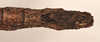 CollectionObject 1558464; 265a6e3d-8035-485c-aba9-aec681d49b9a: copyright OUMNH. female: end of abdomen, ventral view (syntype). (CollectionObject).;CollectionObject 1558465; d166c98e-8403-4894-9ef3-61957b4ef40b: copyright OUMNH. female: end of abdomen, ventral view (syntype). (CollectionObject).