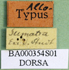 CollectionObject 1501686; d15dc620-d108-4cf3-8da4-9eda8bb6d1fe: labels. (CollectionObject).