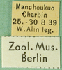 CollectionObject 1501919; c7a2597d-7141-4b95-b7c3-f852fff33a11: labels. (CollectionObject).