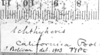 CollectionObject 1540560; 15150f73-2b48-4509-a8ae-78cbdcec4a5d: Image, Carbonell, C.S. labels (lectotype). (CollectionObject).