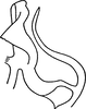 Aedeagus, lateral view: Aedeagus (E. fraxa Robinson), lateral view. (Observation).