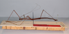CollectionObject 1557682; 7bf6c299-d657-45d2-b5c0-9f5b17aef872: copyright MNCN, Madrid. male, lateral view (syntype). (CollectionObject).;CollectionObject 1557683; f6d433bf-4f51-4fc5-9cf6-311c6d0c275b: copyright MNCN, Madrid. male, lateral view (syntype). (CollectionObject).