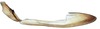 Gonoplac: !! display not done !! on Acuera (Acuera) adspersa (Stål, 1854): Female specimen [DZUP]: second valvifer and gonoplac, lateral view. (Observation).